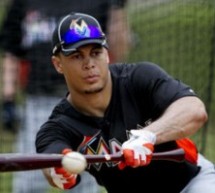 Miami Marlins Giancarlo Stanton Reactivated from DL