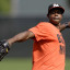 National League: Projected Platoons for 2013