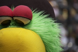 Image for What Happened to the Pittsburgh Pirates?